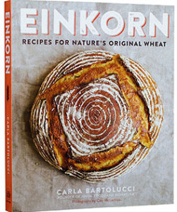 Einkorn_sized