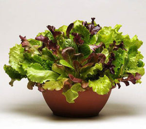 Photo: Summer Picnic Simply Salad®, Courtesy of White Flower Farm