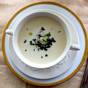 Fennel Vichyssoise