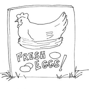 PerfectOmelet_Fresh Eggs_Illustration